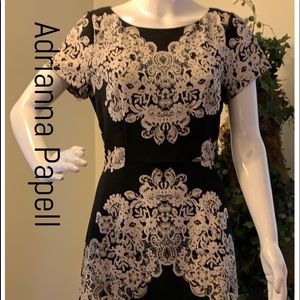 Adrianna Papell Flirty Fun Dress for Work or Play